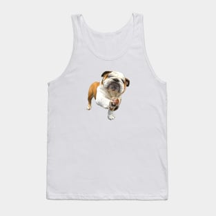 Bulldog Shake Shake Paws! Tank Top